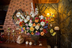Galeria de Fotos