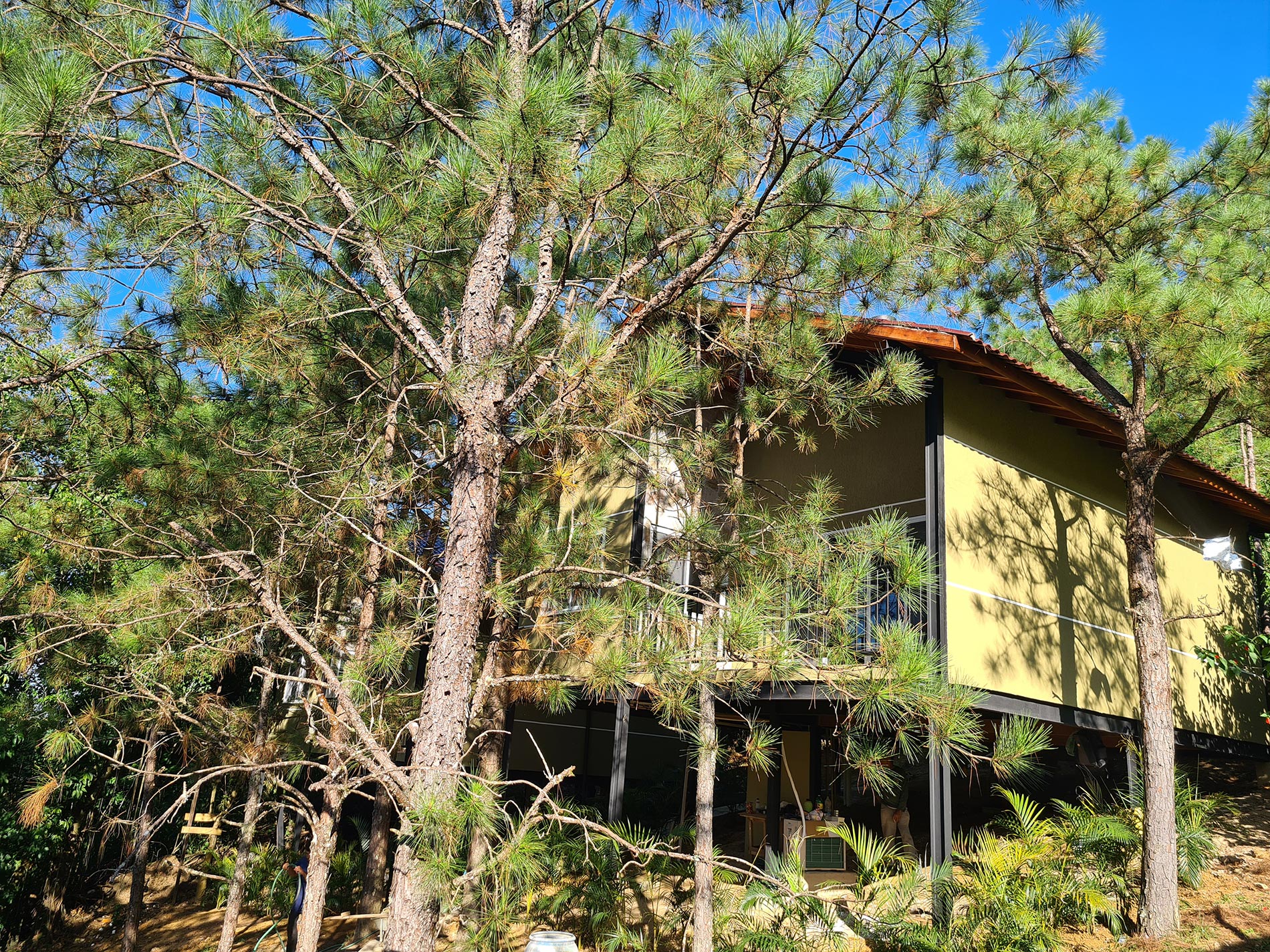 Loft do Bosque